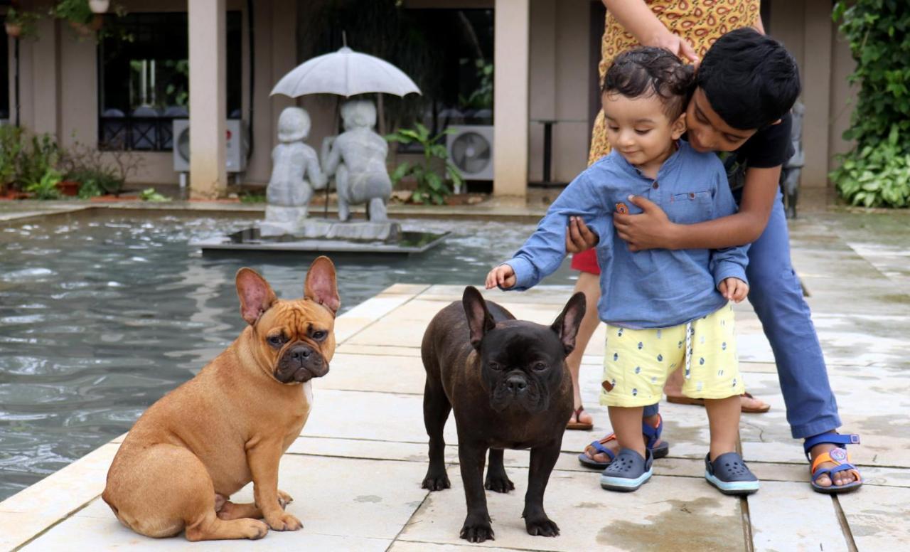 Manas Resort With Petting Zoo, Igatpuri Luaran gambar