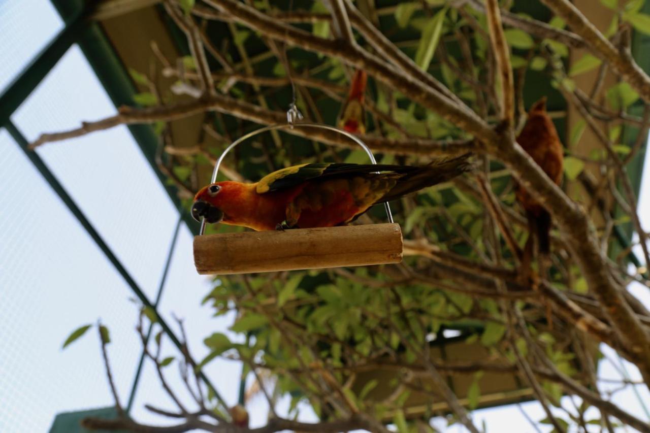 Manas Resort With Petting Zoo, Igatpuri Luaran gambar