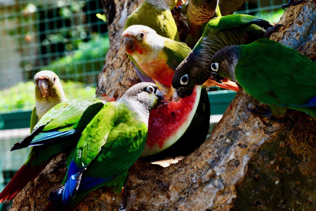 Manas Resort With Petting Zoo, Igatpuri Luaran gambar